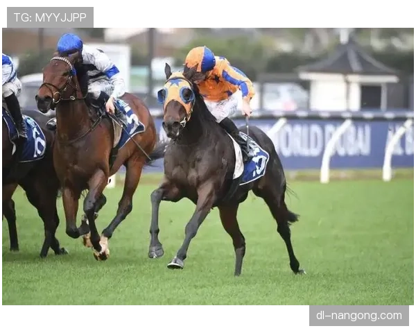 富里睡醒发现自家马场又多两匹纯血马，这月第几次了？